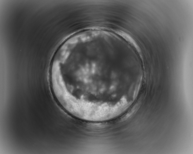 X0000089690855200707201719
