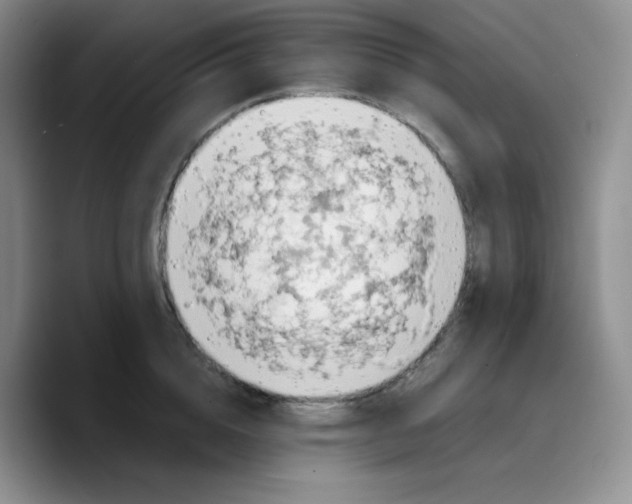 X0000089690856200707201719