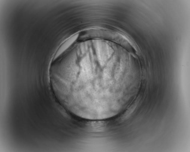 X0000089690858200707201719