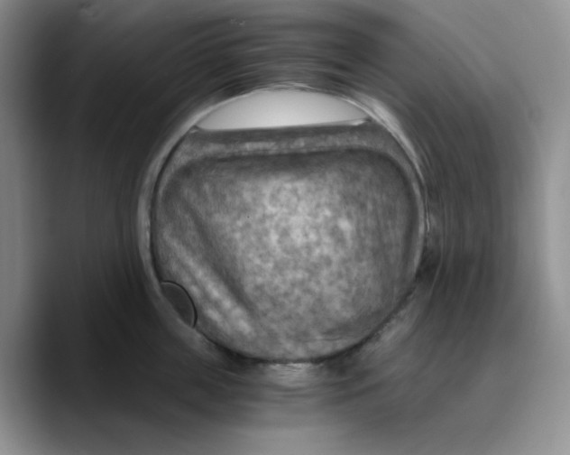 X0000089690859200707201719