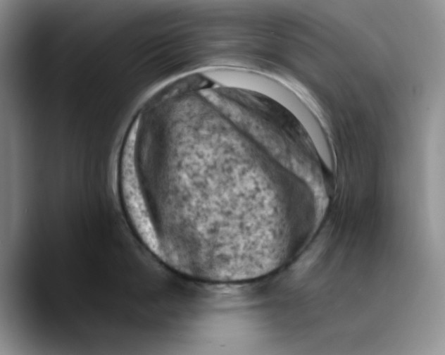 X0000089690862200707201719