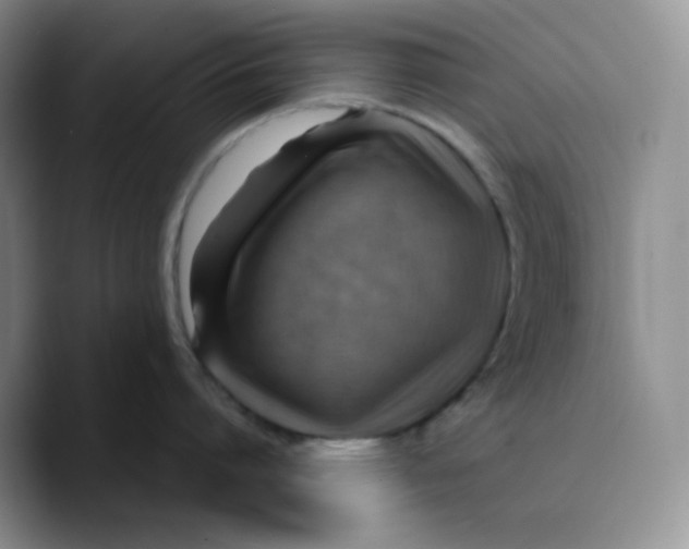 X0000089690864200707201719