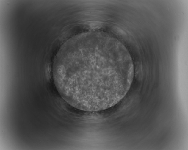 X0000089690866200707201718