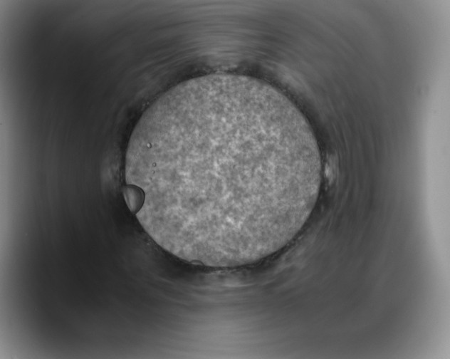 X0000089690867200707201718