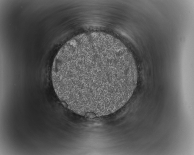 X0000089690870200707201718