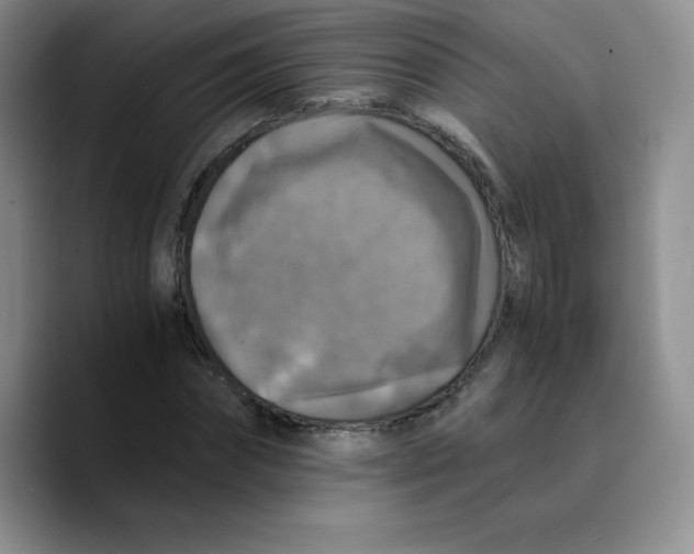 X0000089690874200707201718