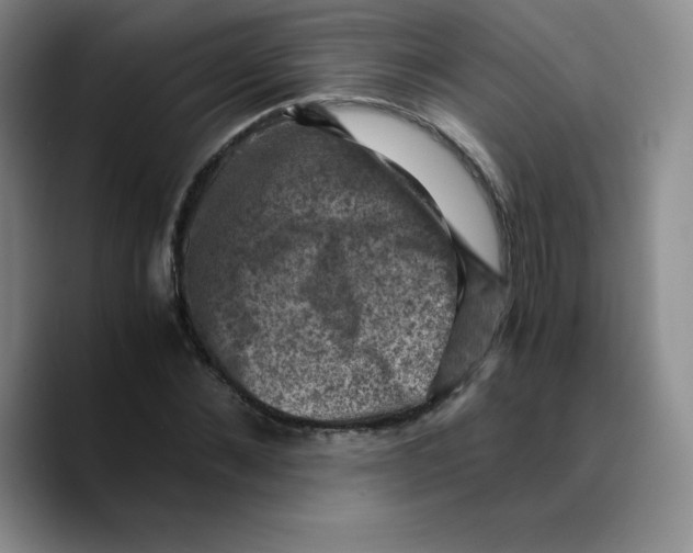 X0000089690876200707201718