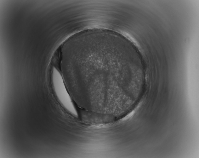 X0000089690877200707201718
