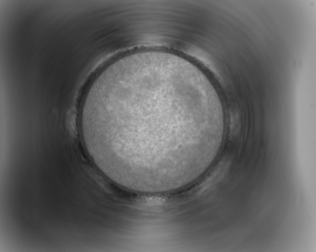 X0000089690878200707201718