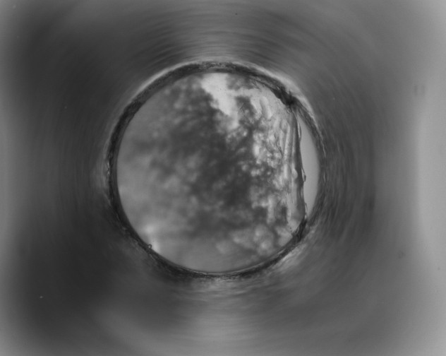 X0000089690879200707201718