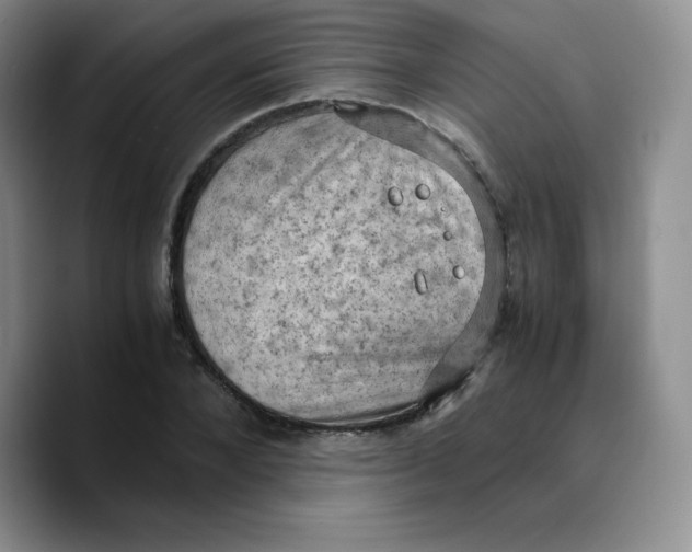 X0000089690880200707201718