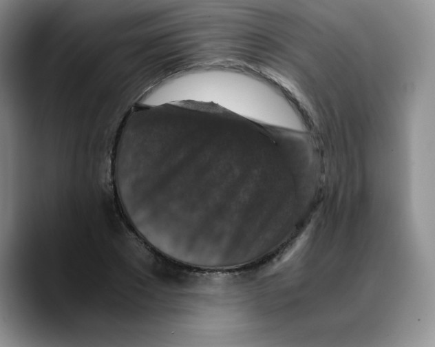 X0000089690881200707201718