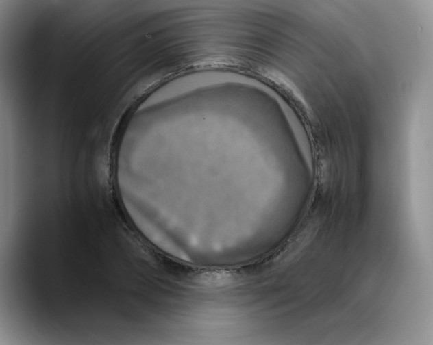 X0000089690882200707201718