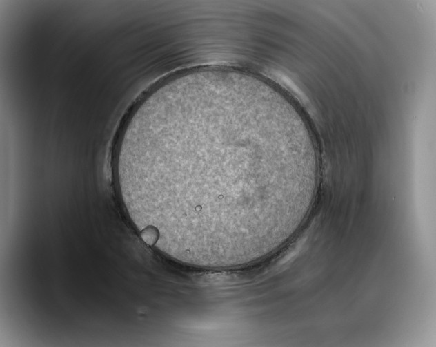 X0000089690883200707201718