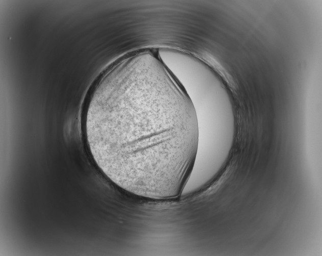 X0000089690884200707201718