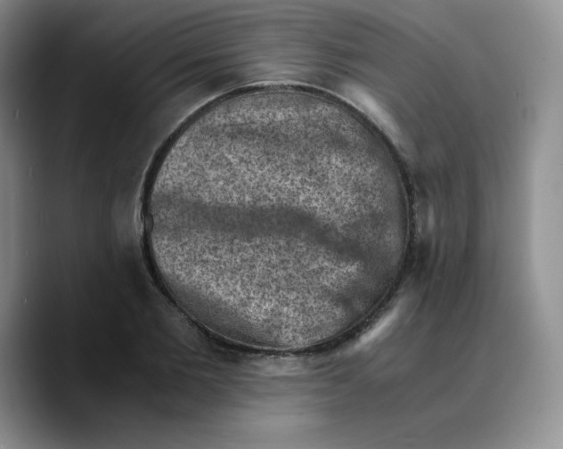 X0000089690885200707201718