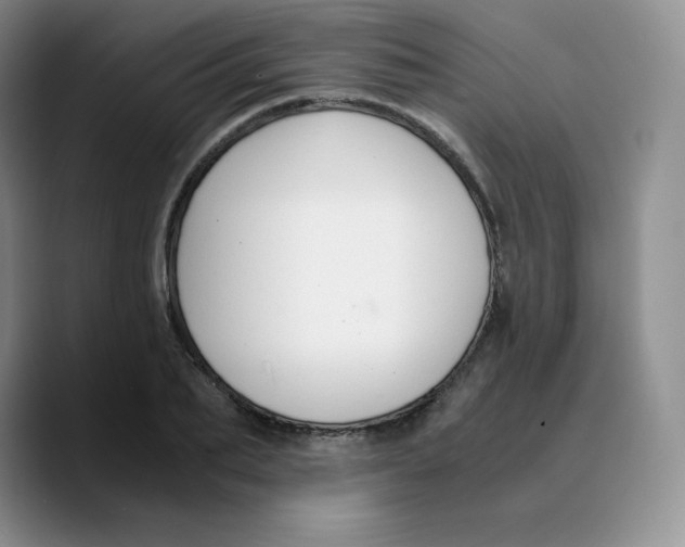 X0000089690887200707201718