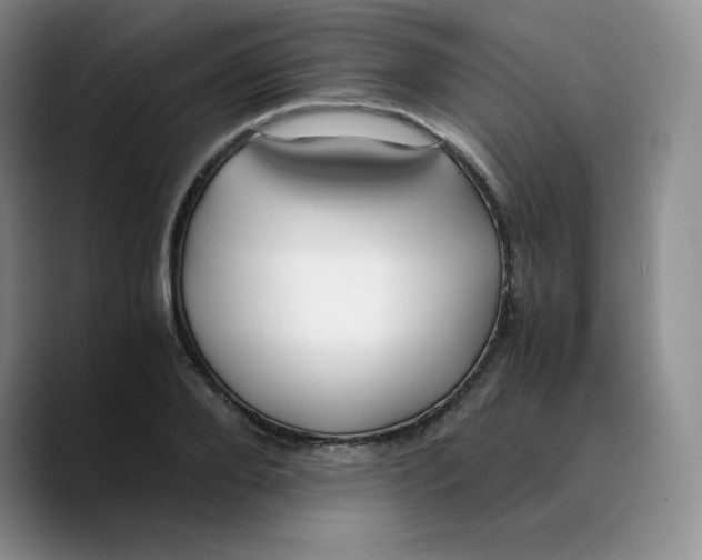 X0000089690888200707201718