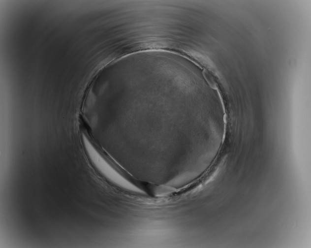 X0000089690889200707201718