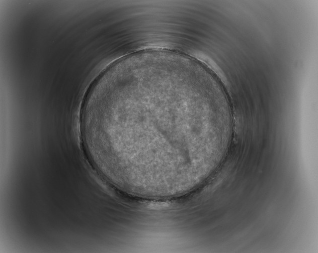 X0000089690890200707201718
