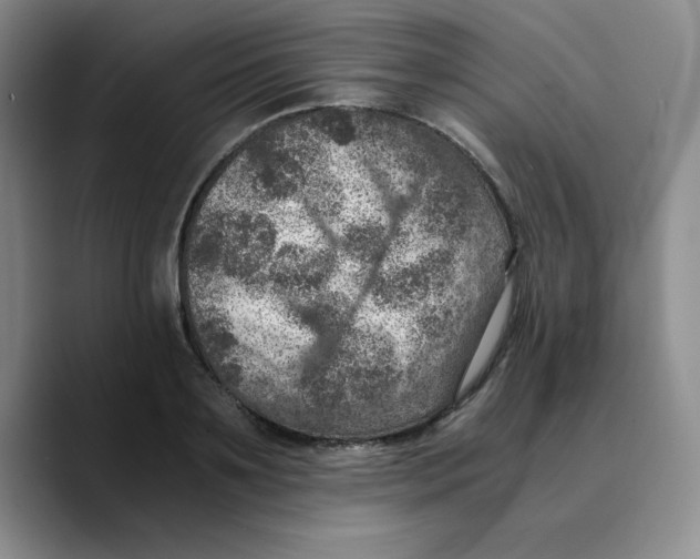 X0000089690891200707201718