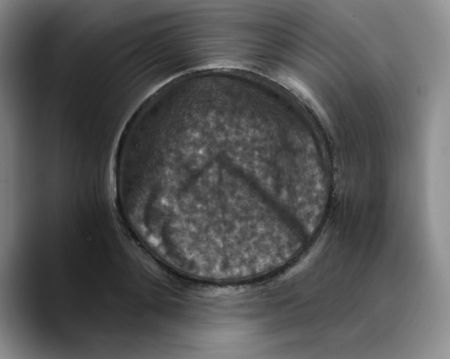 X0000089690892200707201718