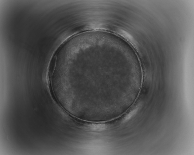 X0000089690893200707201718