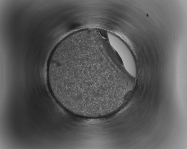 X0000089690894200707201718