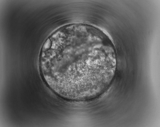 X0000089690895200707201718