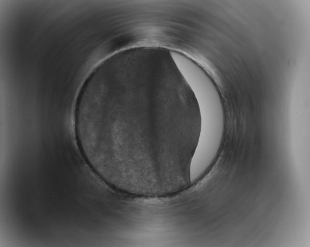 X0000089690896200707201718