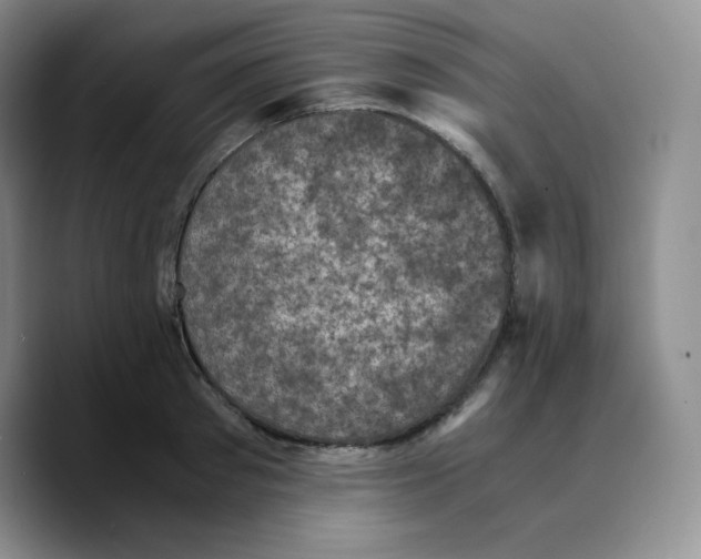 X0000089690897200707201718