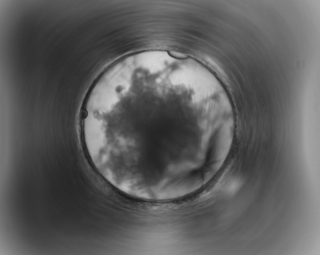 X0000089690899200707201718