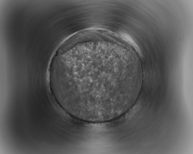 X0000089690900200707201718