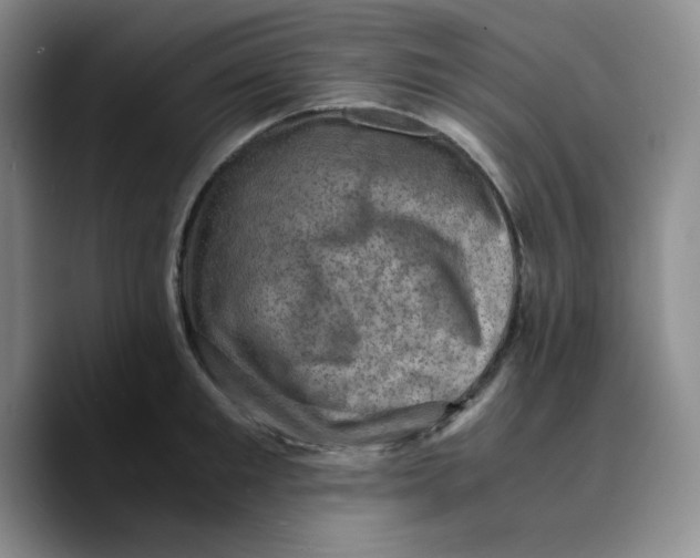 X0000089690901200707201718