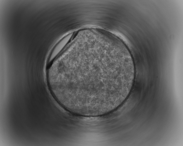 X0000089690902200707201718
