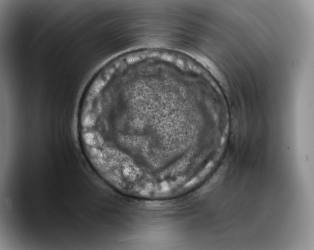 X0000089690904200707201717