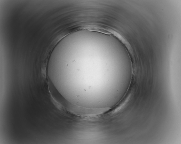 X0000089690905200707201717