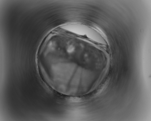 X0000089690907200707201717