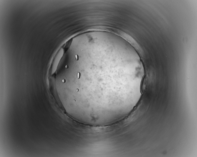 X0000089690908200707201717