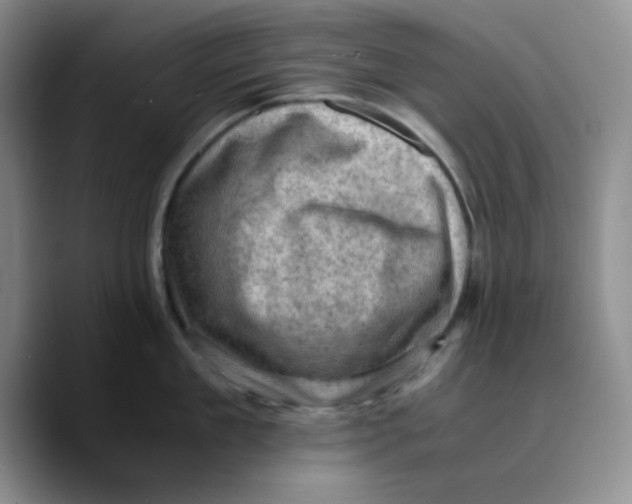 X0000089690909200707201717