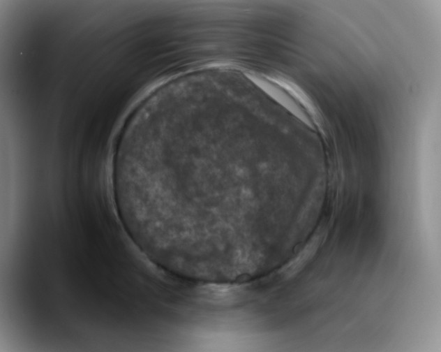 X0000089690910200707201717