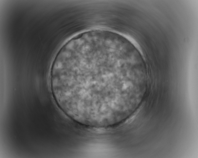 X0000089690911200707201717
