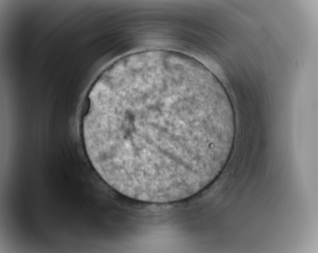 X0000089690912200707201717