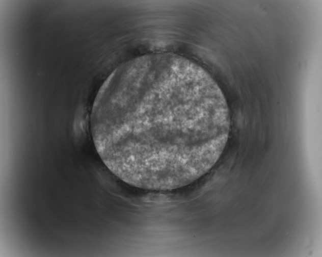 X0000089690914200707201717