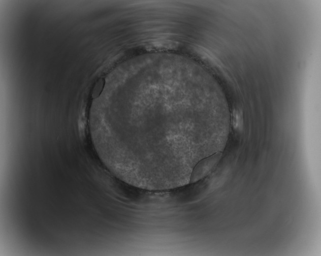X0000089690915200707201717