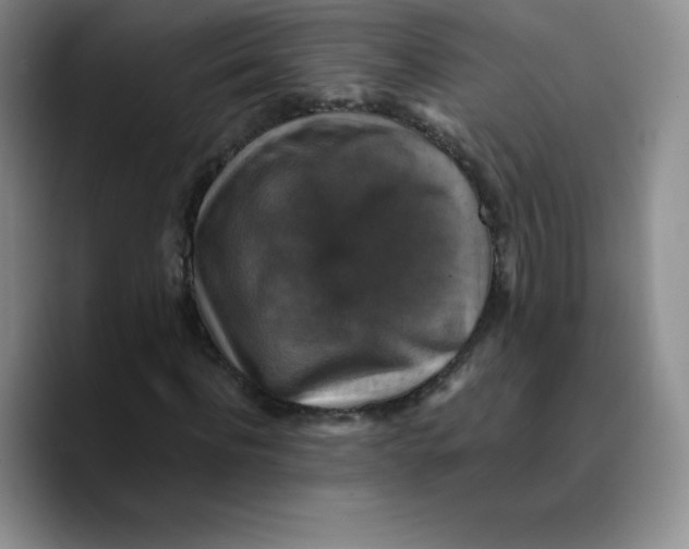 X0000089690916200707201717