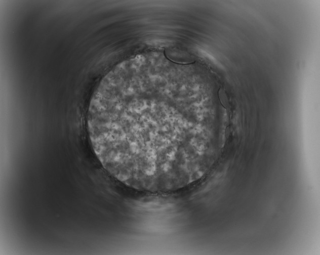 X0000089690917200707201717