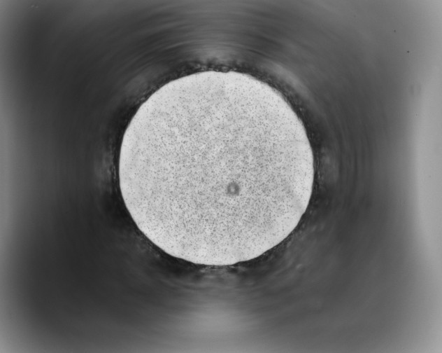 X0000089690918200707201717
