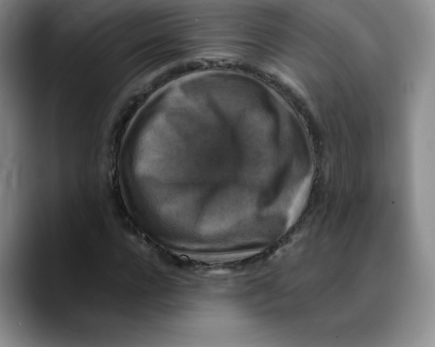 X0000089690920200707201717