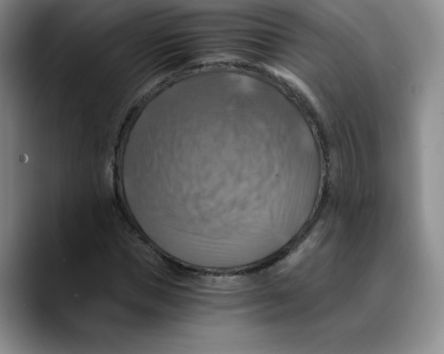 X0000089690921200707201717